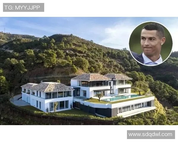 球星豪宅背后的足球场揭秘 他们为何选择在家中建场踢球 球星豪宅背后的足球场揭秘 他们为何选择在家中建场踢球