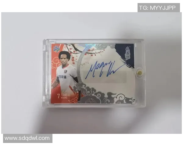 足球球星卡插卡玩法全解析收藏价值及市场趋势深度剖析