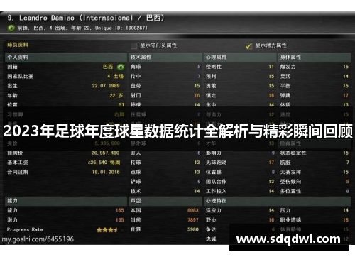 2023年足球年度球星数据统计全解析与精彩瞬间回顾