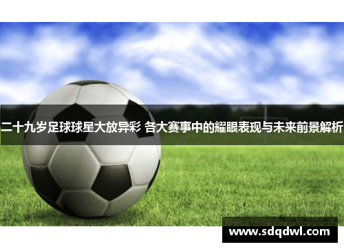 二十九岁足球球星大放异彩 各大赛事中的耀眼表现与未来前景解析