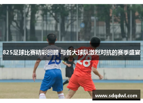 825足球比赛精彩回顾 与各大球队激烈对抗的赛季盛宴
