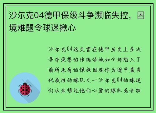 沙尔克04德甲保级斗争濒临失控，困境难题令球迷揪心